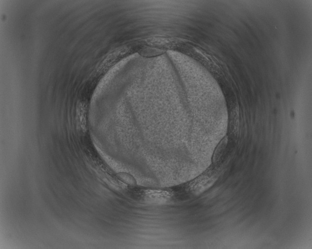 X0000081390234200702020303