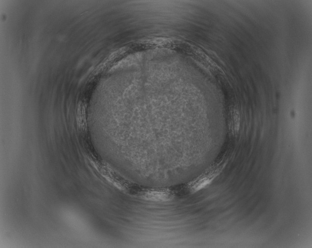 X0000081390236200702020303