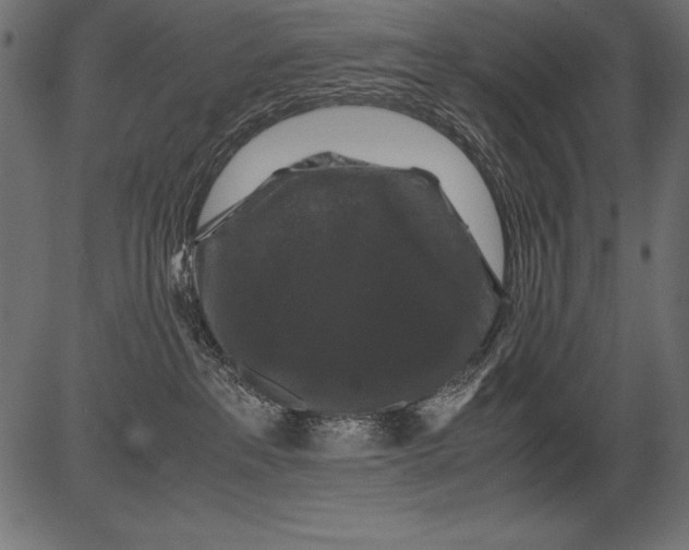 X0000081390237200702020303