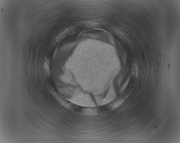 X0000081390238200702020303