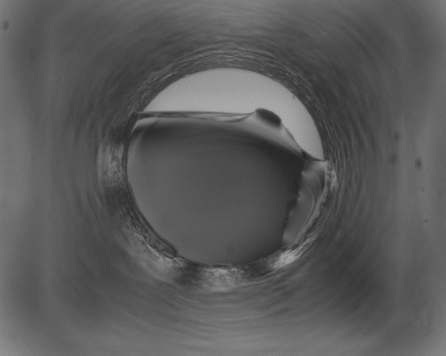 X0000081390239200702020303