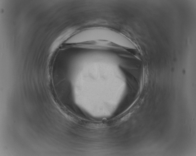 X0000081390245200702020302