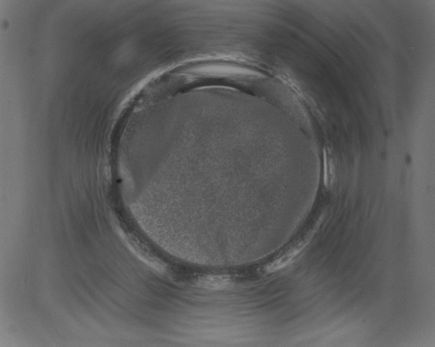 X0000081390252200702020302