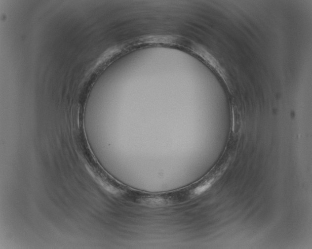 X0000081390253200702020302