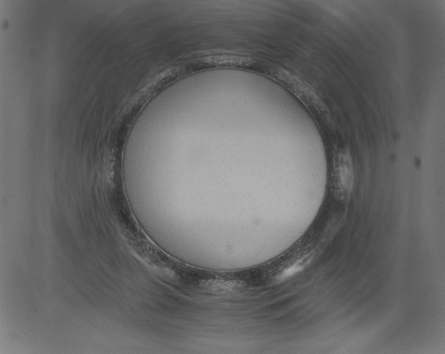 X0000081390255200702020302