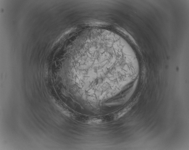 X0000081390257200702020302