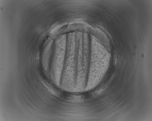 X0000081390260200702020302