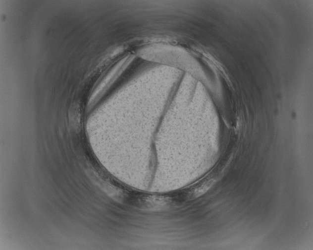 X0000081390261200702020302