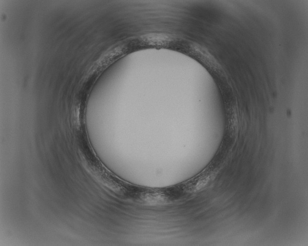 X0000081390262200702020303