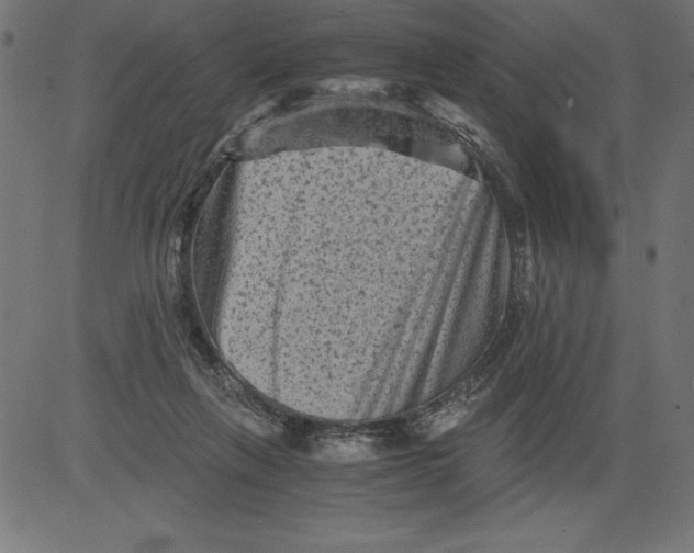 X0000081390263200702020303