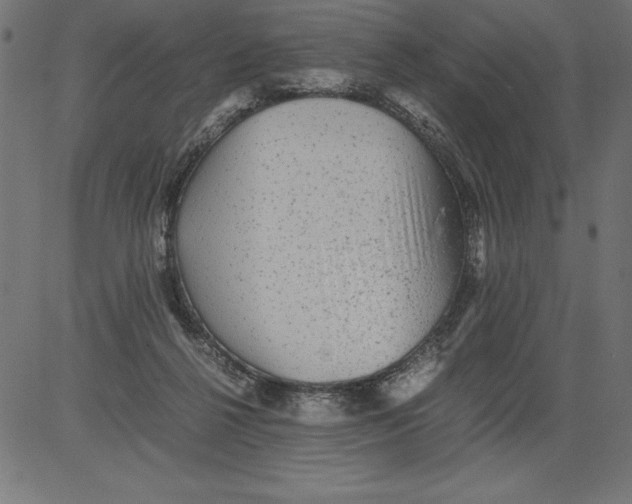 X0000081390264200702020303