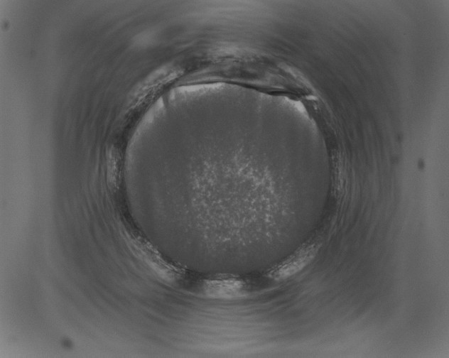 X0000081390266200702020303