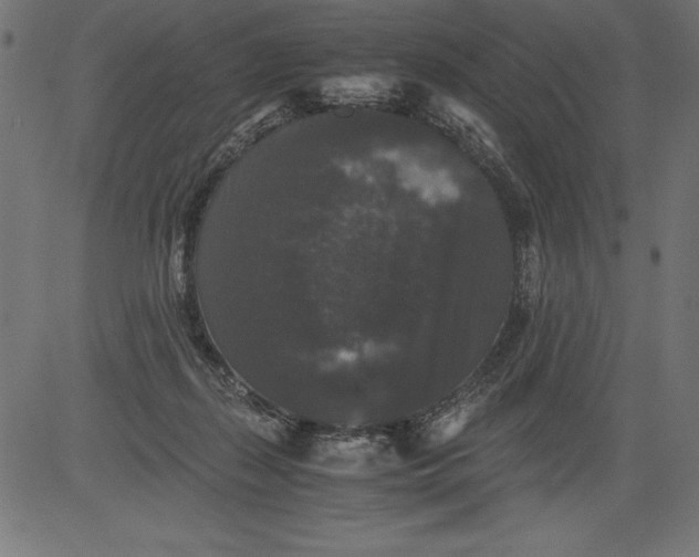 X0000081390267200702020303