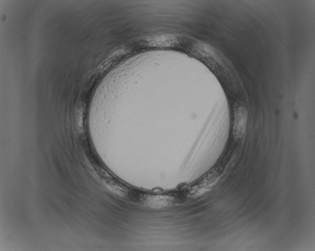 X0000081390268200702020303