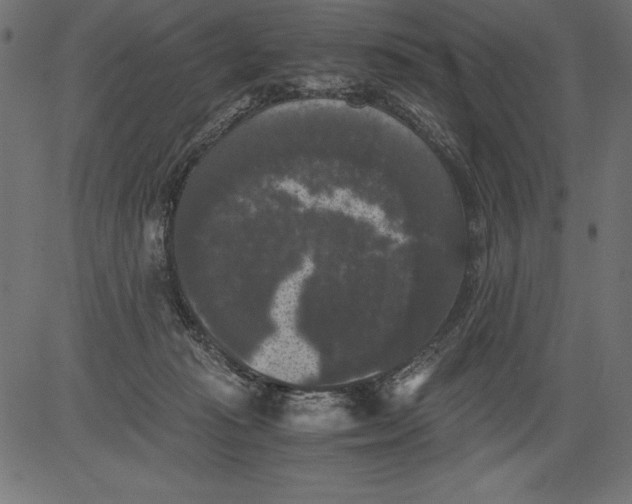 X0000081390269200702020303