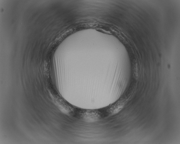 X0000081390270200702020303