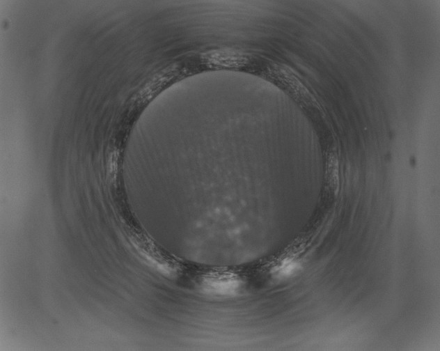 X0000081390271200702020303