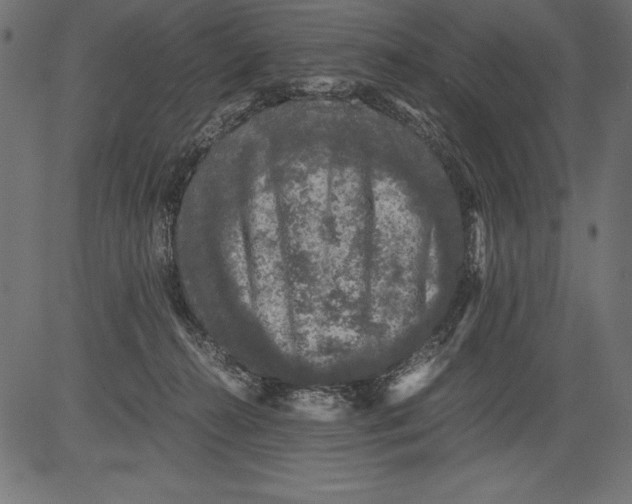 X0000081390272200702020303