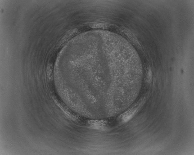 X0000081390273200702020303