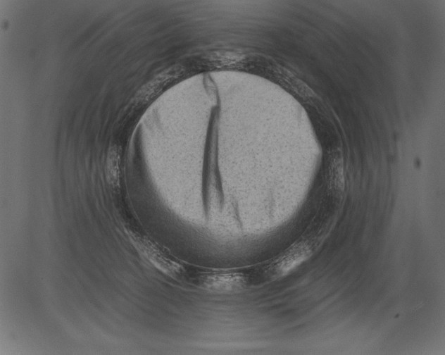 X0000081390274200702020303