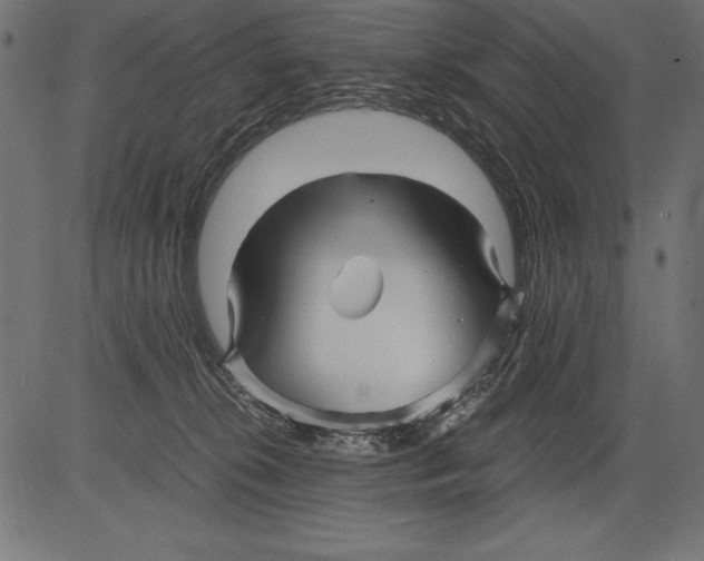 X0000081390276200702020303