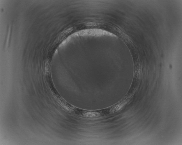 X0000081390277200702020303