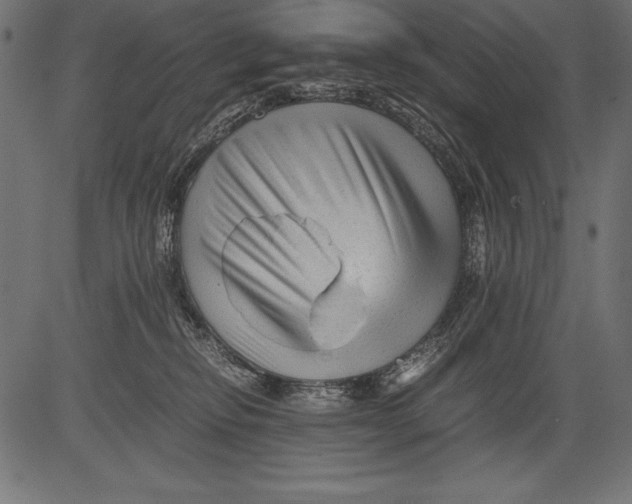 X0000081390278200702020303