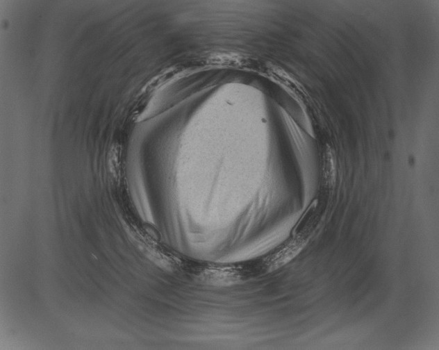 X0000081390280200702020303