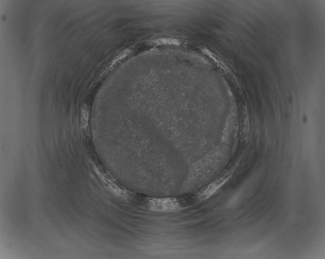 X0000081390281200702020303