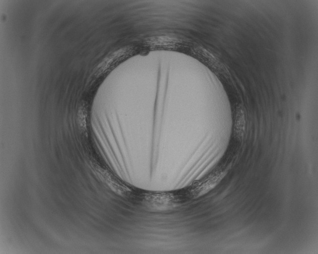 X0000081390282200702020303