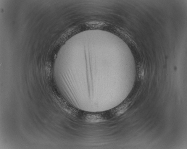 X0000081390283200702020303