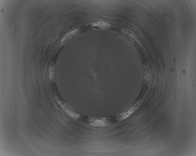 X0000081390285200702020303