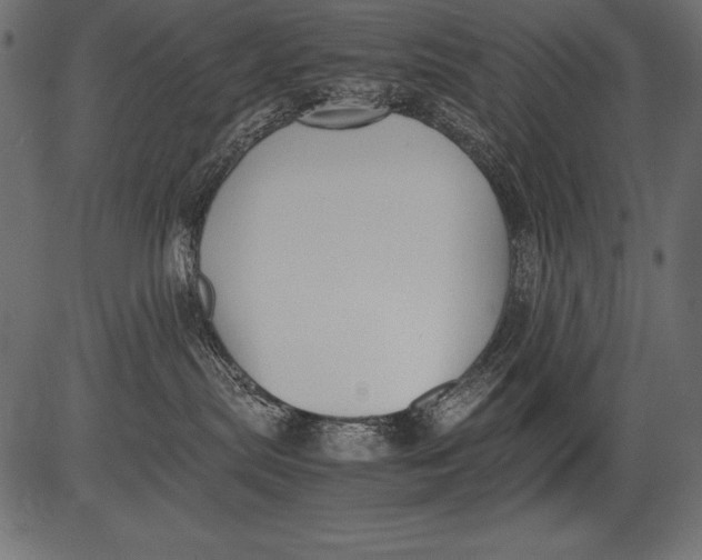 X0000081390287200702020303