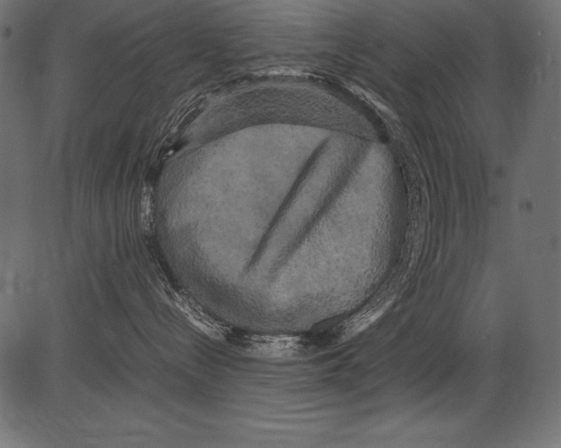 X0000081390288200702020303