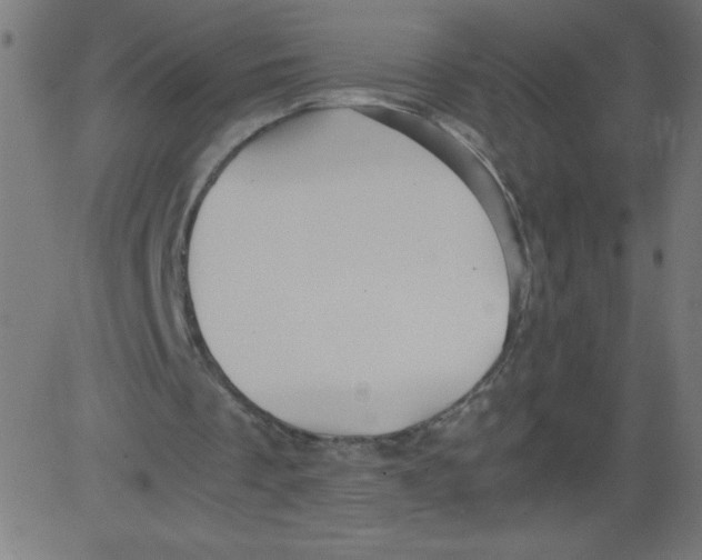 X0000081390289200702020302