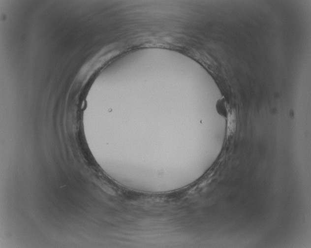 X0000081390291200702020302