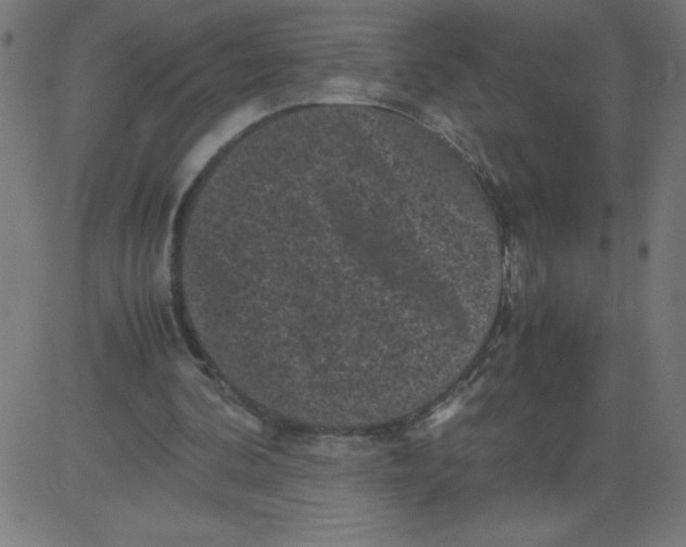 X0000081390292200702020302