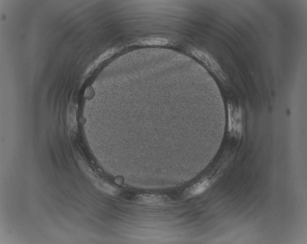 X0000081390300200702020302