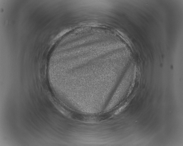 X0000081390301200702020302