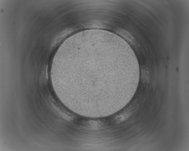 X0000081390302200702020302