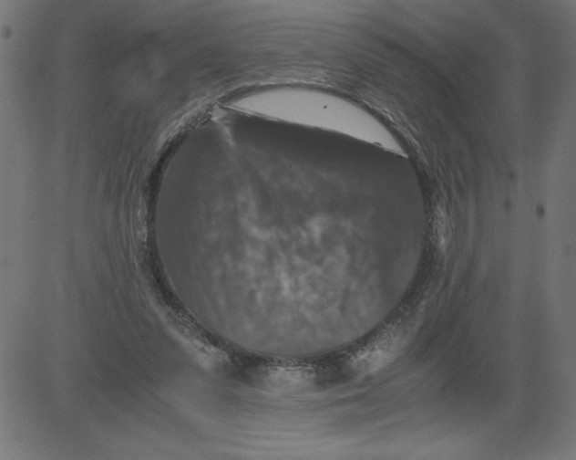 X0000081390303200702020302