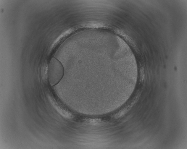 X0000081390304200702020302