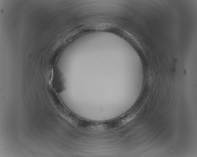 X0000081390307200702020302