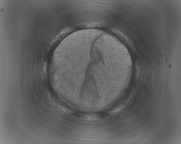 X0000081390308200702020302