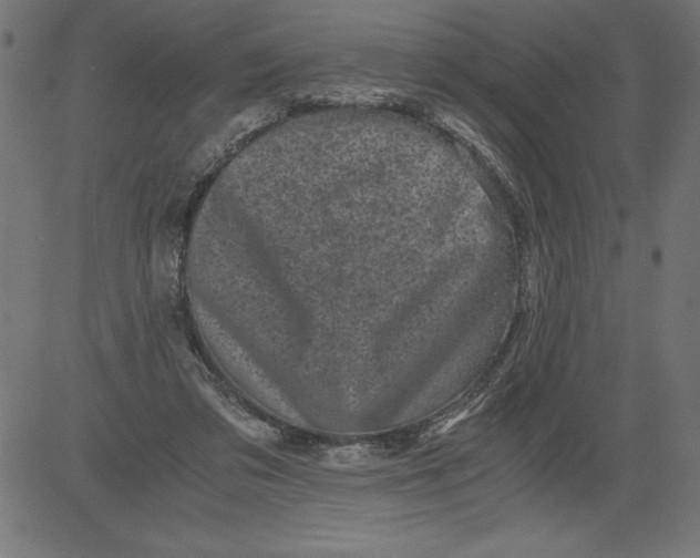 X0000081390309200702020302