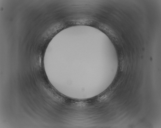 X0000081390310200702020302