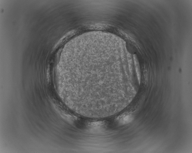 X0000081390312200702020302