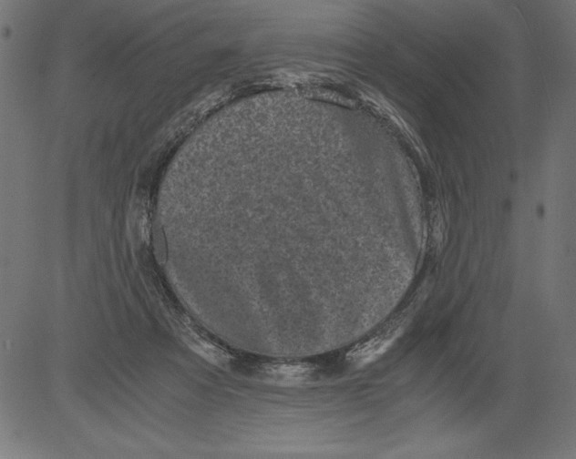 X0000081390313200702020302