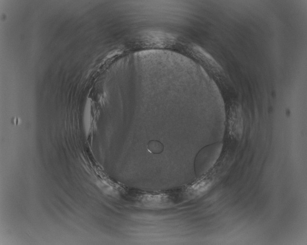 X0000081390314200702020302