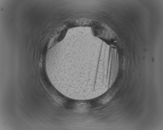 X0000081390315200702020302